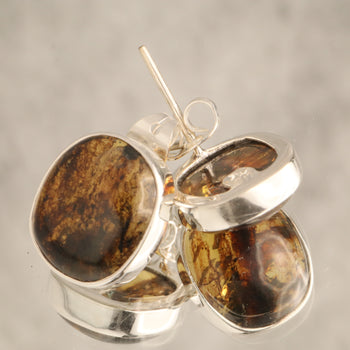 Eternal Ember - Chiapas Amber 925 Silver Earrings